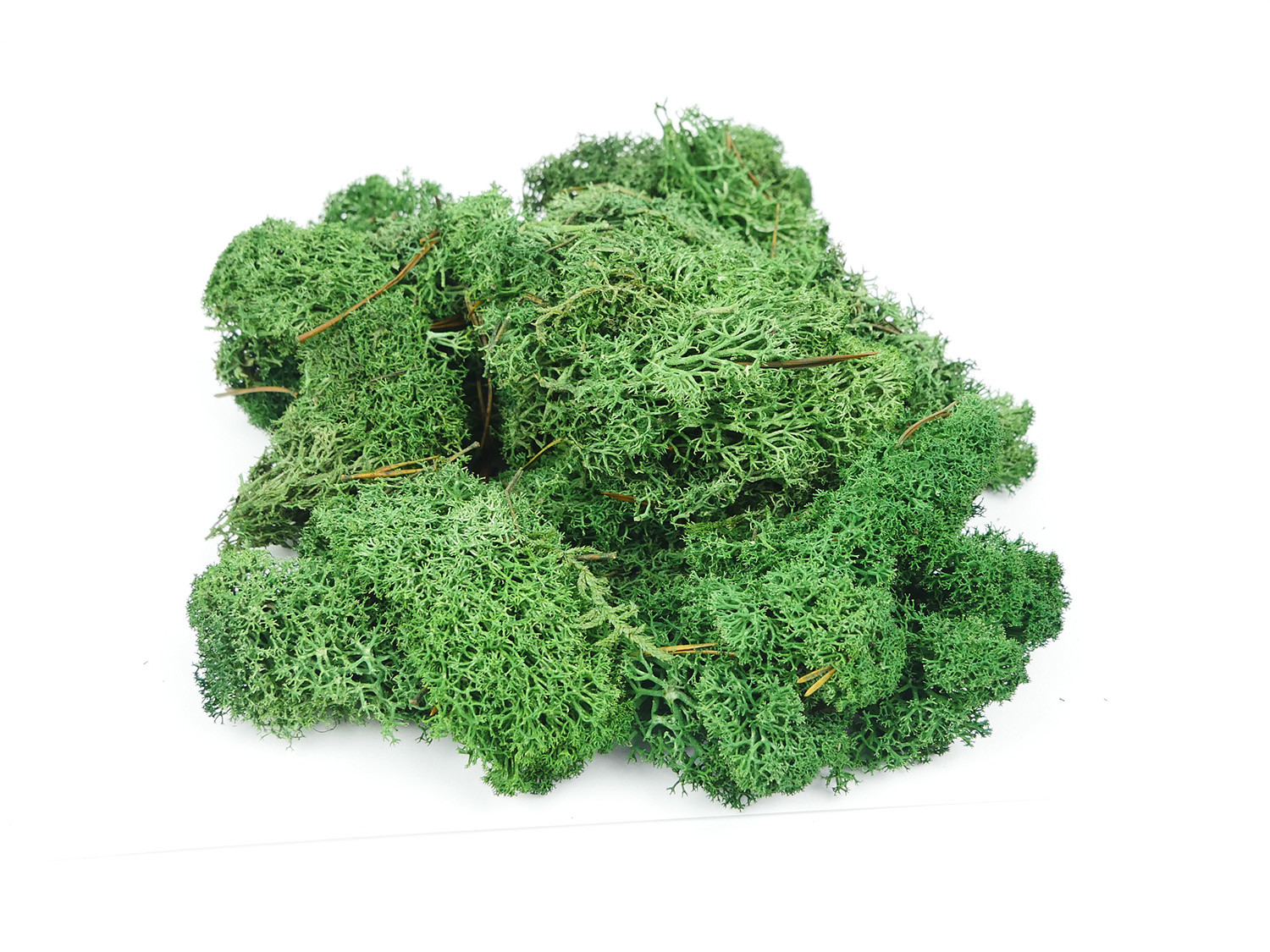 Gaugemaster GM1602 Dark Green Lichen 80g