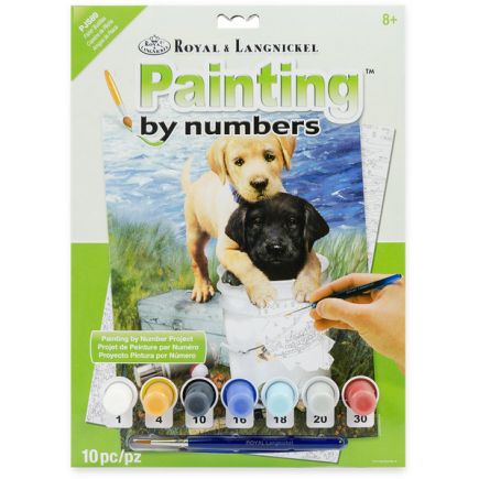 Royal And Langnickel PJS89 Fishin' Buddies Paint By Numbers