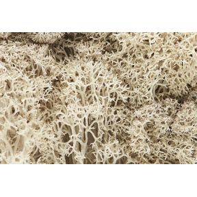 Woodland Scenics L166 Natural Lichen