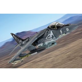 Corgi AA29303 McDonnell Douglas AV-8B+ Harrier II 165001/01 VMA-214 'Black Sheep'