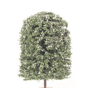 K&M Trees DX125BW 125mm Tall Deciduous Green Tree With White Blossom