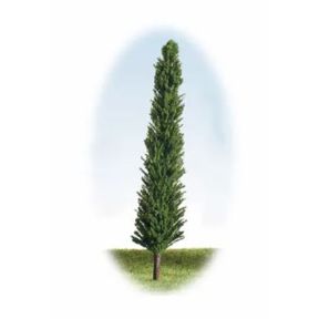 K&M Trees P600 105mm Tall Green Trees Pack Of 4