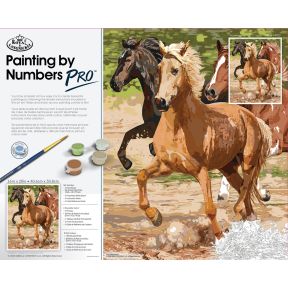 Royal And Langnickel PBNPRO2 Pro Paint By Numbers Galloping