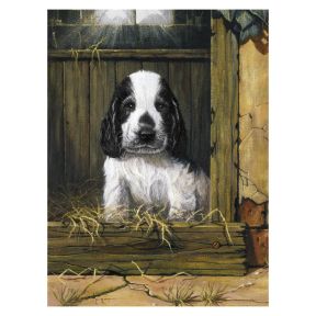 Royal And Langnickel PJS67 Spaniel Puppy Paint By Numbers
