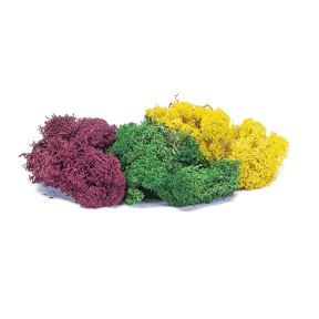 Hornby R7197 Lichen - Large Autumn Mix